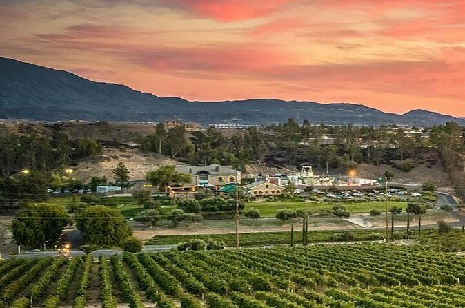 Private Temecula Wine Country Tour from San Diego - Analyzing the Price: Is It Worth It?