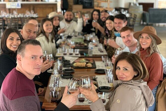 Private Temecula Wine Tour from Dana Point - Who Should Consider This Tour?