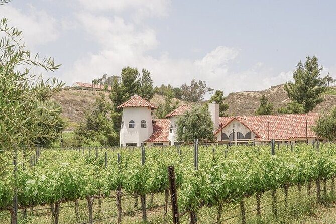 Private Temecula Wine Tour from Laguna Beach - Who Should Consider This Tour?