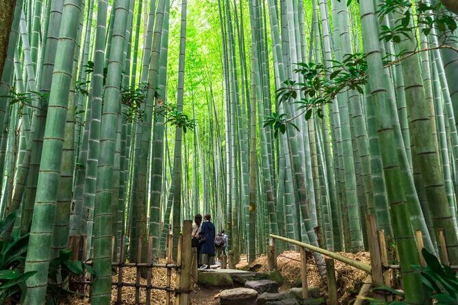 Private Temples and Nature in North Kamakura Walking Tour - An in-depth look at what this tour has to offer