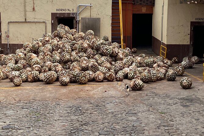 Private Tequila Tour - An in-depth look at what makes this tequila tour stand out