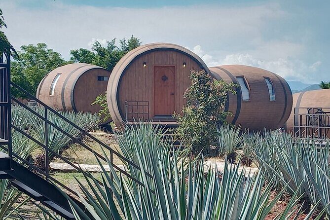 Private Tequila Tour in Guadalajara - Key Points