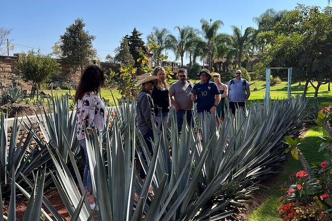 Private Tequila Tour with Local Expert - Exploring the Tequila Route: What to Expect