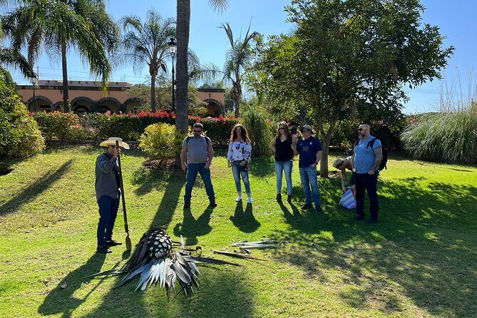 Private Tequila Tour with Local Expert - Who Should Book This Tour?