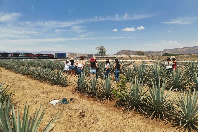 PRIVATE Tequila Valleys Tour: Pyramids, Volcanoes, Agaves&Tequila - Final Thoughts