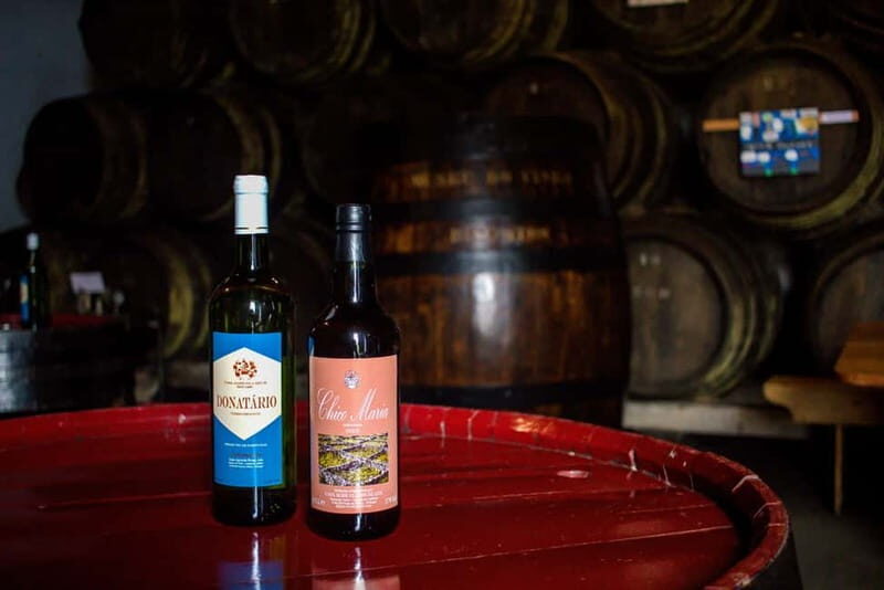 Private Terceira Island Caves: Lava Route - entrances & wine - Who This Tour Is Best For