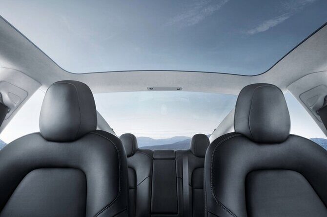 Private Tesla Transfer: Auckland, Tauranga, Rotorua, Taupo - A Detailed Look at the Tesla Transfer Experience