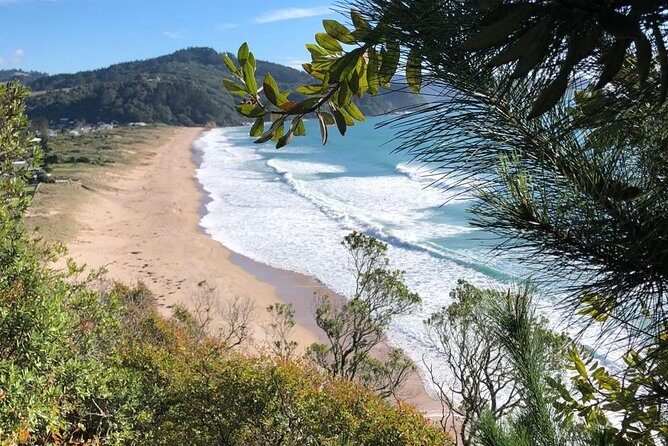 Private The Coromandel Tour - Auckland Tour House - Key Points