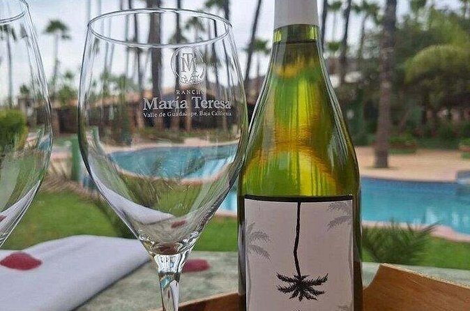 Private Therapeutic Massage Experience in Valle de Guadalupe - Final Thoughts: Who Is This Best For?