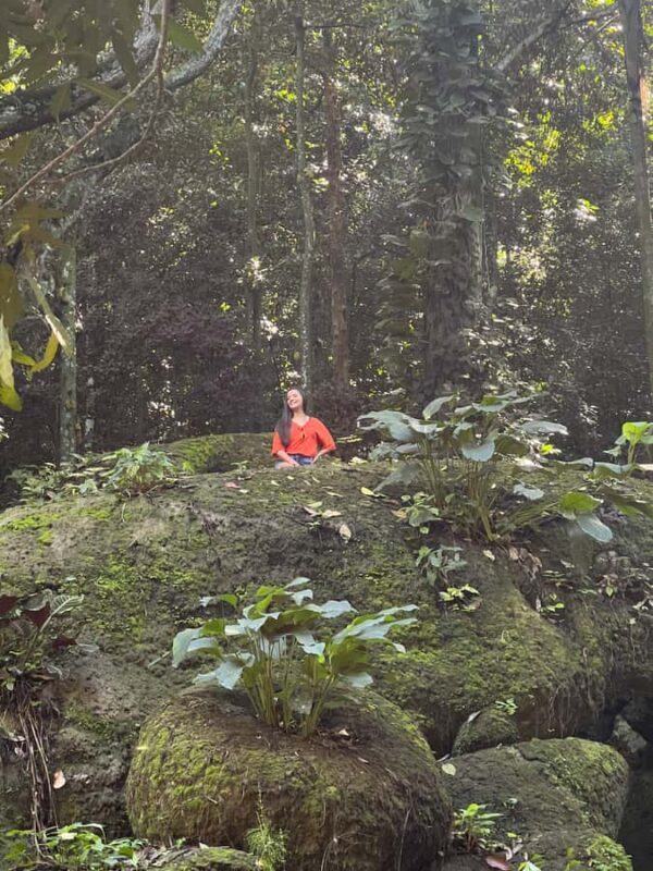 Private Tijuca Forest & Botanical Garden Guided Tour - Value and Who This Tour Suits Best