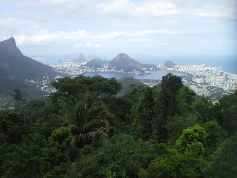 Private Tijuca Forest & Botanical Garden Guided Tour - Frequently Asked Questions