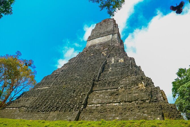 Private Tikal Mayan City Tour with Lunch - Breaking Down the Itinerary