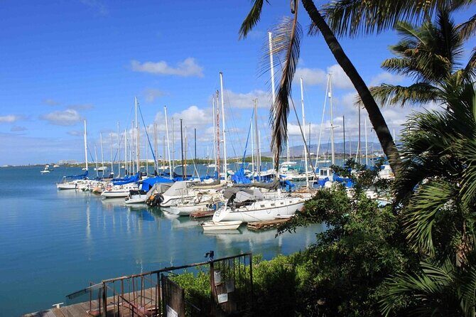 Private Tiki Bar Sunset Cruise in Honolulu - The Journey Begins: What to Expect on This Coastal Cruise