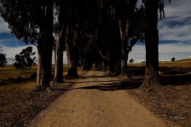 Private Tiwanaku and Titicaca Day Trip from La Paz - The Experience You Can Expect