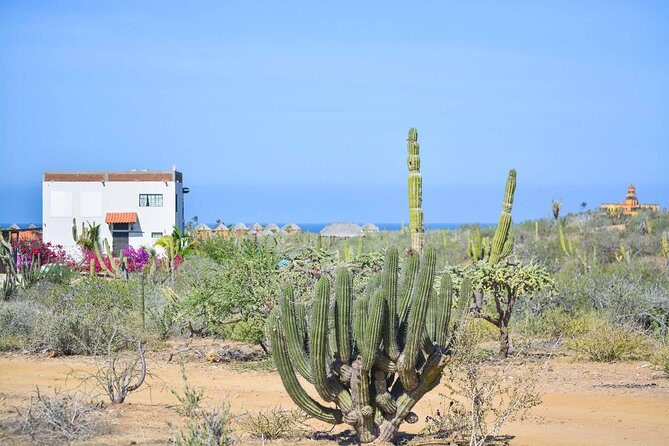 Private Todos Santos Jeep - Key Points