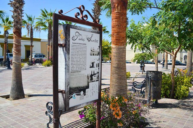 Private Todos Santos Jeep - Punta Lobos: A Scenic Finale