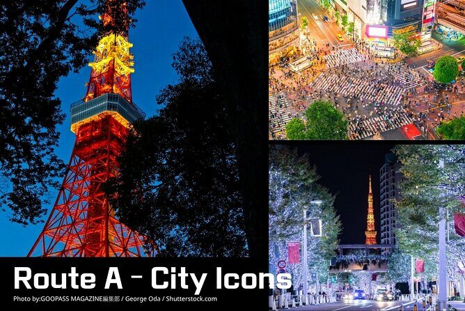 Private Tokyo Night Time Sightseeing Ride 3 Scenic Route Options - The Experience in Detail