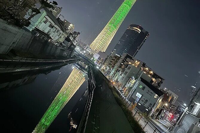 Private Tokyo Night Tour - Exploring the Details of the Tokyo Night Tour