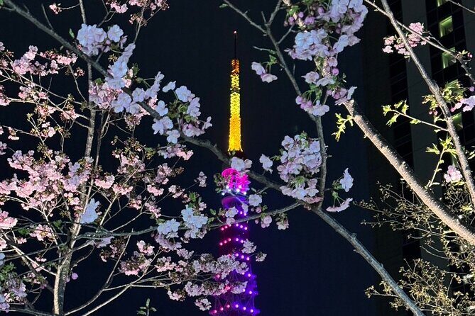 Private Tokyo Night Tour - Key Points