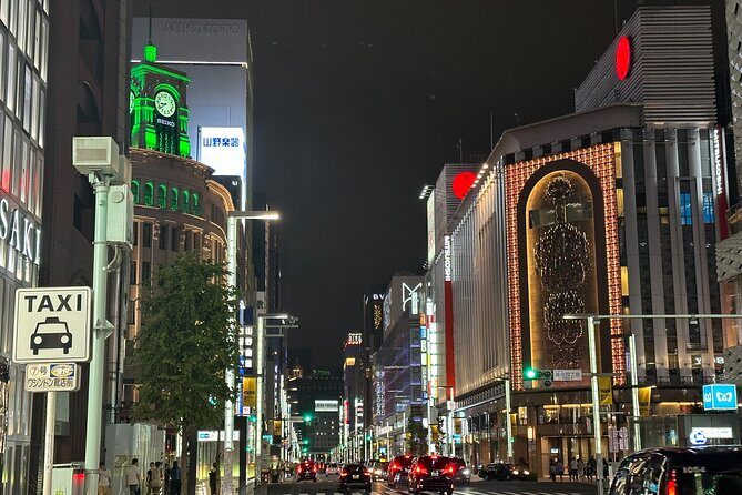 Private Tokyo Night Tour - A Deep Dive into the Tokyo Night Tour Experience