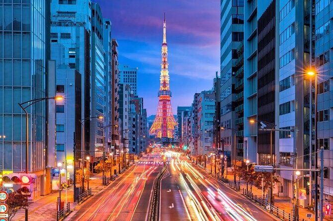 Private Tokyo Night Tour with English Speaking Driver - Key Points