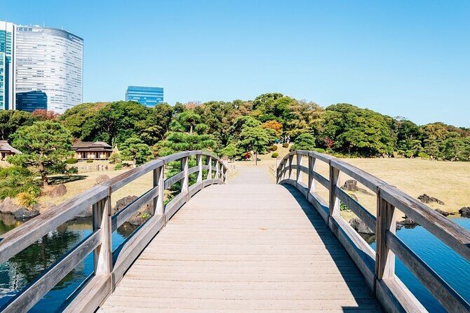 Private Tokyo Night Tour with English Speaking Driver - A Deep Dive into the Tokyo Night Tour Experience