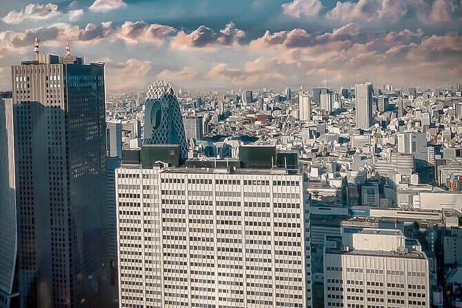 Private Tokyo Shinjuku Bus Tour with Licensed Guide - Final Thoughts