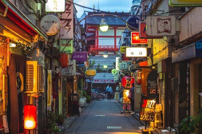 Private Tokyo Tour with English Speaking Guide - The Sum Up: Who Will Love This Tour?