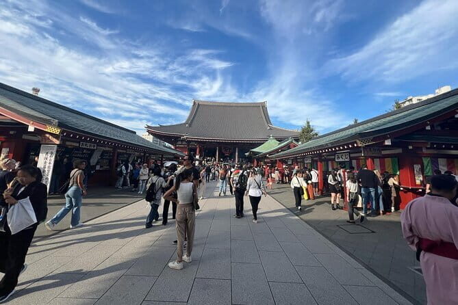 Private Tokyo Tour with English-Speaking GuideCustom Itinerary - Exploring Tokyo in Comfort and Style