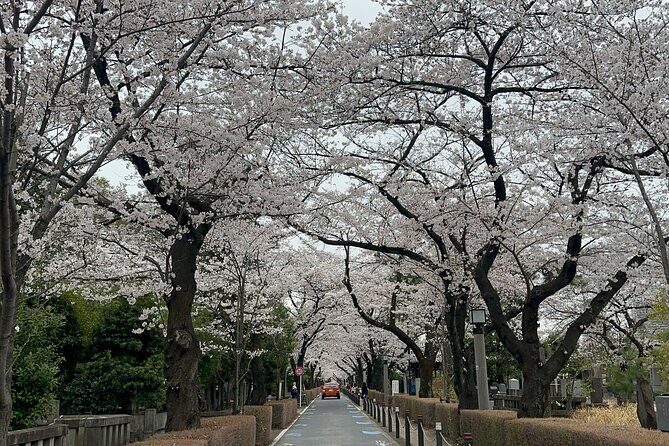 Private Tokyo Tour with Japanese Local Guide - Key Points