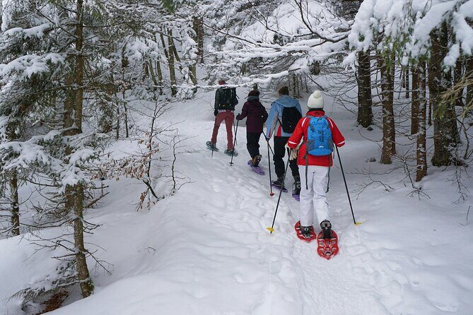 Private Tongariro Overnight Snowshoeing Tour - Experience the Magic of Tongariro with a Private Overnight Snowshoeing Tour