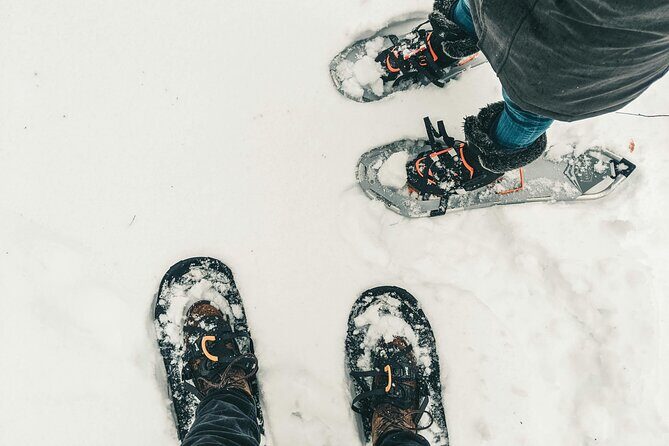Private Tongariro Overnight Snowshoeing Tour - Who Should Consider This Tour?