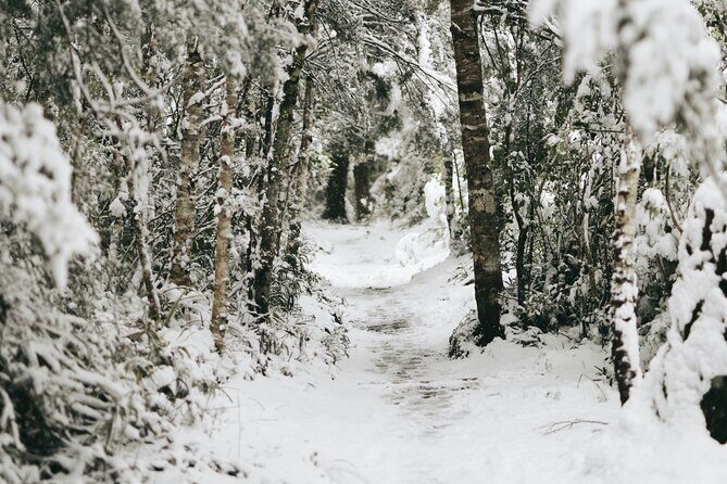 Private Tongariro Overnight Snowshoeing Tour - Final Thoughts