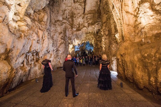 Private Tour [2 Days]: Auckland to Waitomo Caves, Rotorua, Te Puia & Wai-O-Tapu - Who is This Tour Best Suited For?