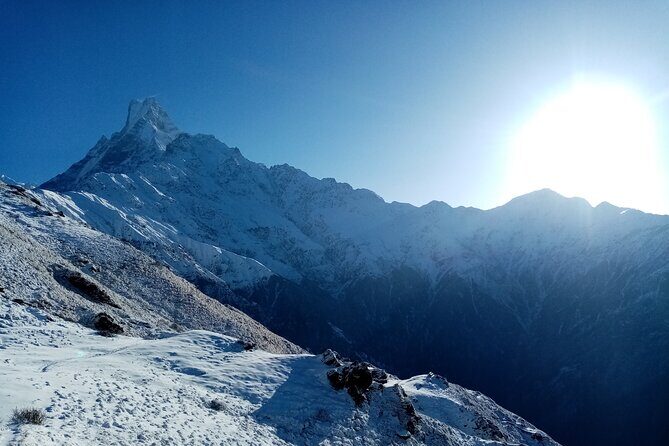 Private Tour 5 Day Mardi Himal Trek - What to Expect on the Mardi Himal Trek