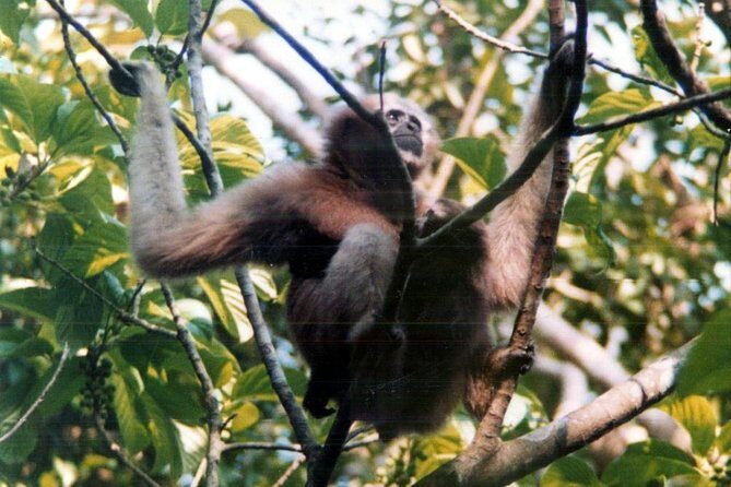 Private Tour: 5 Days - Bangladesh Nature & Culture Tour - North-eastern part - Frequently Asked Questions