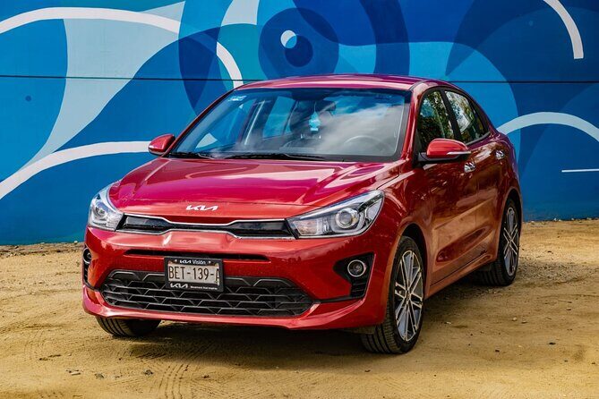 Private tour 6 hours DE 1 - 4 Passengers - Exploring Valle de Guadalupe with a Private Guide