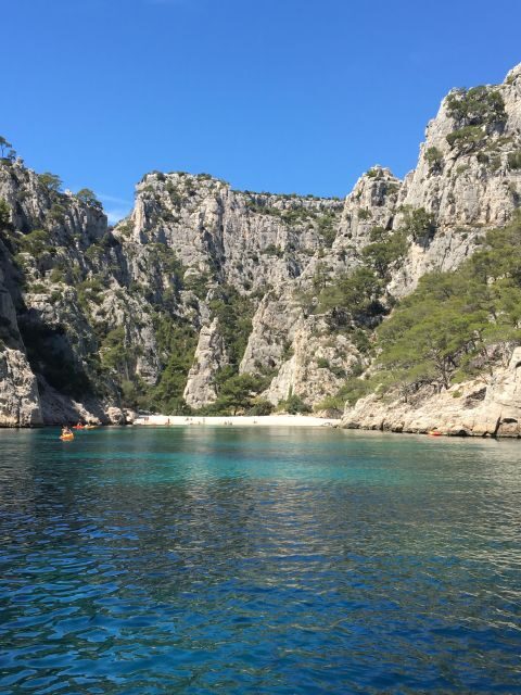 Private Tour Aix en Provence Cassis from Marseille - FAQ