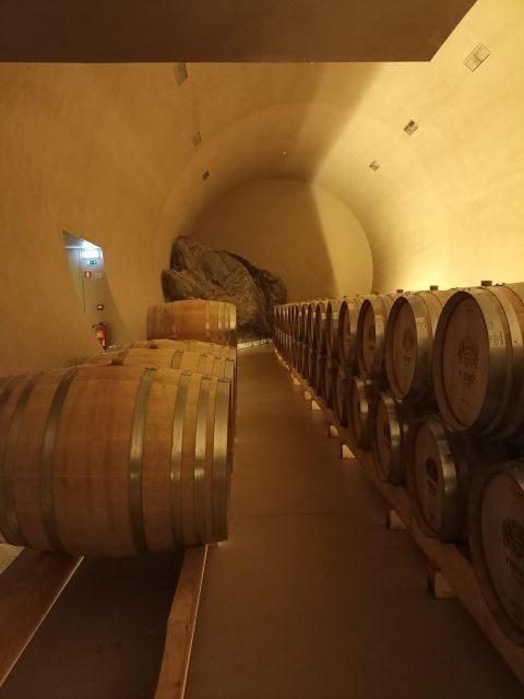 Private Tour Alentejo: Évora, WineTasting and Monsaraz - Exploring the Details: What to Expect on This Day Trip