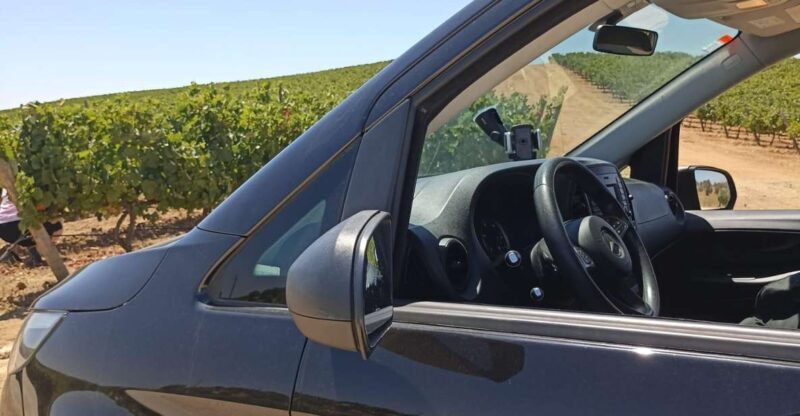 Private Tour Alentejo: Évora, WineTasting and Monsaraz - Who Will Love This Tour?