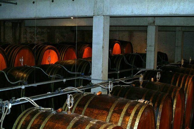 Private Tour: Alsace Wine Tasting Day Trip from Colmar - Key Points