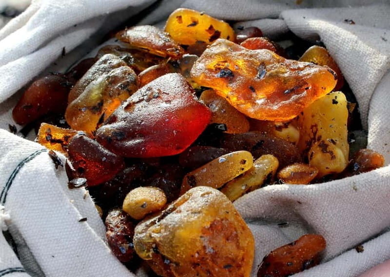 Private Tour: Amber Catching in Curonian Spit from Klaipeda - Practical Insights: What You Need to Know