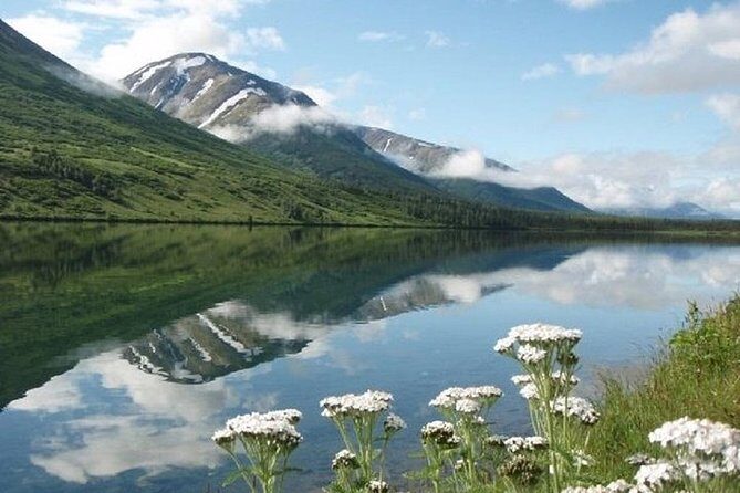 Private Tour: Anchorage 3-Hour Tour - The Itinerary: What You Can Expect