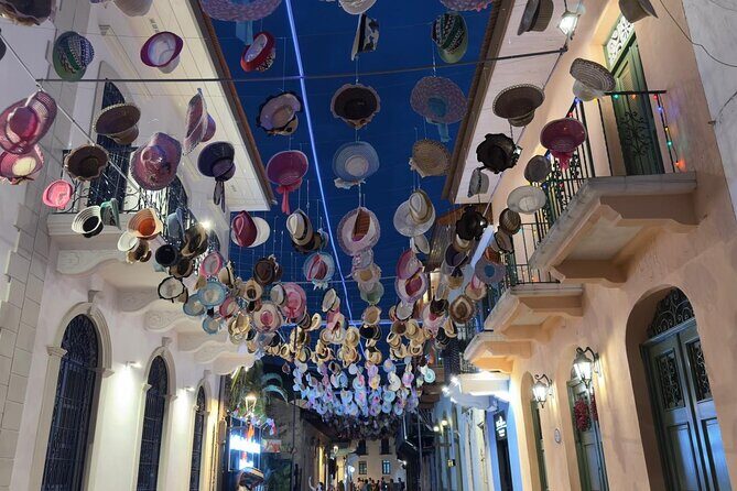 Private tour and local tastes - Old Town+Causeway+Canal+Souvenir - A Deep Dive into the Panama Private Tour