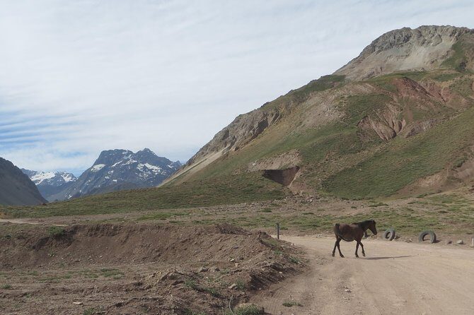 Private Tour: Andes Mountains with Wine Tasting from Santiago - FAQ