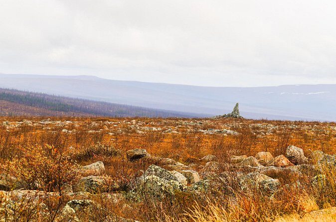 Private Tour Arctic Circle Expedition from Fairbanks - Final Thoughts