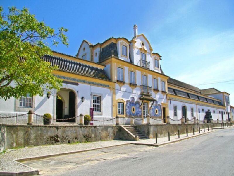 Private Tour - Arrábida & Azeitão Wine Region - Who Will Love This Tour?