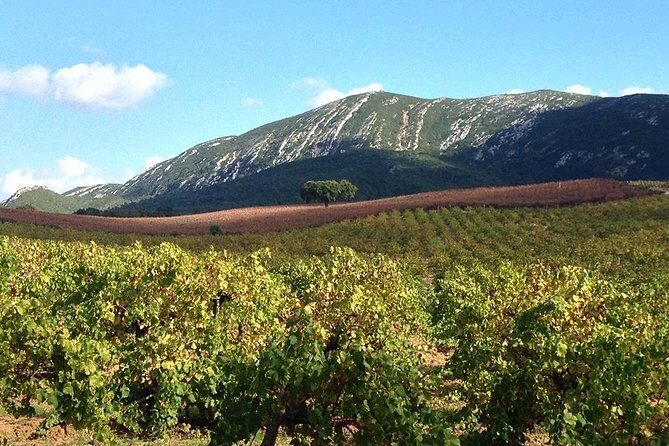 Private Tour: Arrábida Day Trip from Lisbon Including Wine Tasting - Frequently Asked Questions