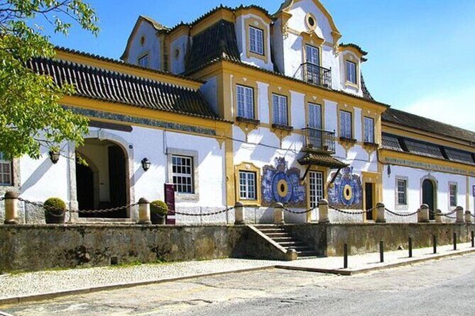 Private tour Arrábida, Sesimbra from Lisbon - Who Would Love This Tour?