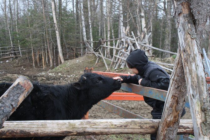 Private Tour at Historic Alaska Dairy Farm - A Deep Dive into the Alaska Dairy Farm Private Tour